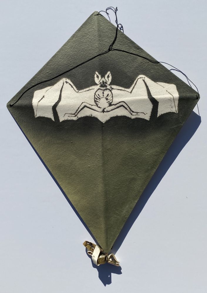 Aucune Technique Toledo - Bat on Green Background Kite