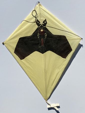 Aucune Technique Toledo - Bat on Yellow Background Kite