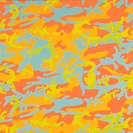 Sérigraphie Warhol - Camouflage 413 by Andy Warhol