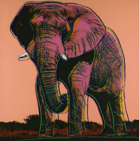 Sérigraphie Warhol - Elephant 