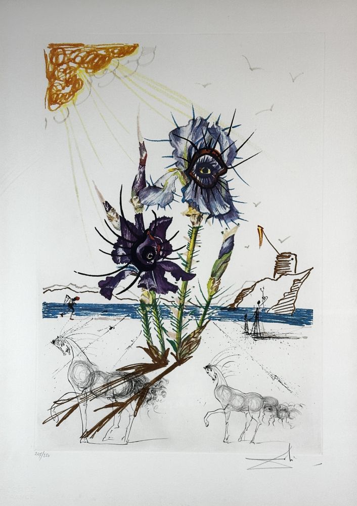 Gravure Dali - Florals Iris