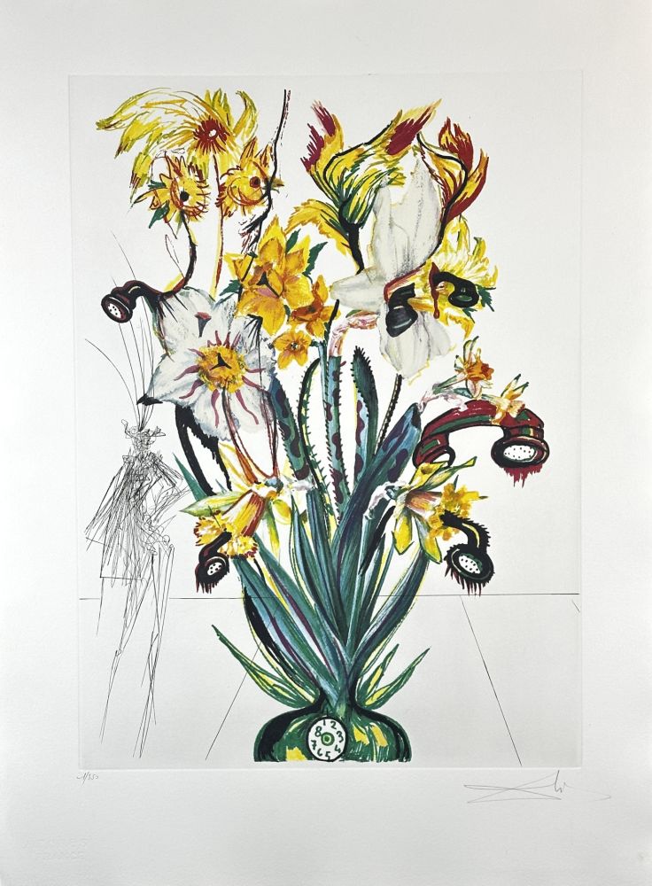 Gravure Dali - Florals Narcissus (Phones) Andalou