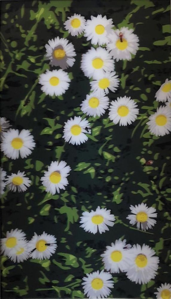 Aucune Technique Opie - French Landscapes: Daisies