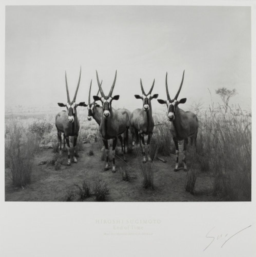 Offset Sugimoto - Gemsbok (End of Time exhibition poster)