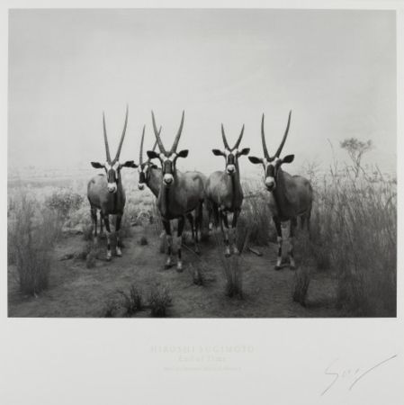 Offset Sugimoto - Gemsbok (End of Time exhibition poster)