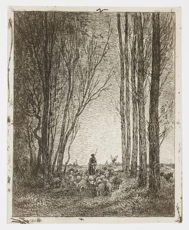 Aucune Technique Daubigny - La Rentrée du Troupeau (Return of the Flock)