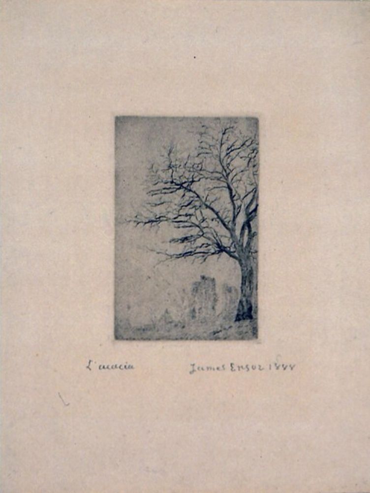 Pointe-Sèche Ensor - L'Acacia