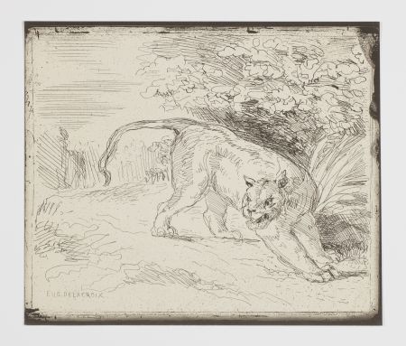 Aucune Technique Delacroix - Le tigre en arrêt (A trapped tiger, also: 'Tiger at bay' or 'Tiger at a standstill')