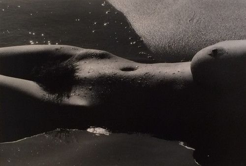 Photographie Clergue - Nyu de la Mer Camargue