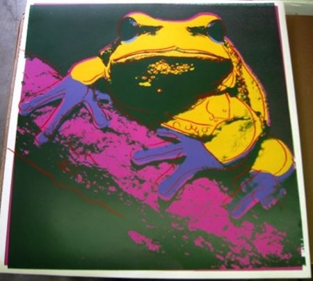 Sérigraphie Warhol - Pine Barrens Tree Frog 294 by Andy Warhol