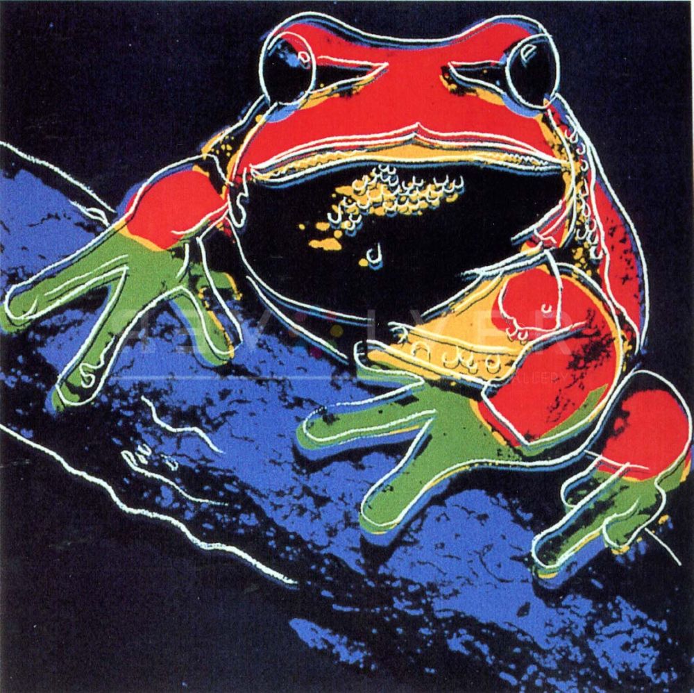 Sérigraphie Warhol - Pine Barrens Tree Frog (FS II.294)