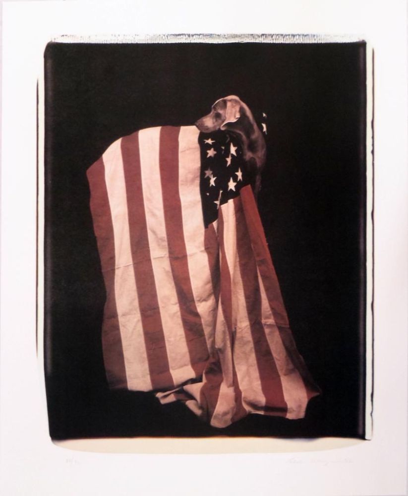 Lithographie Wegman - Profiles in Patriotism (from Freedom of Expression)