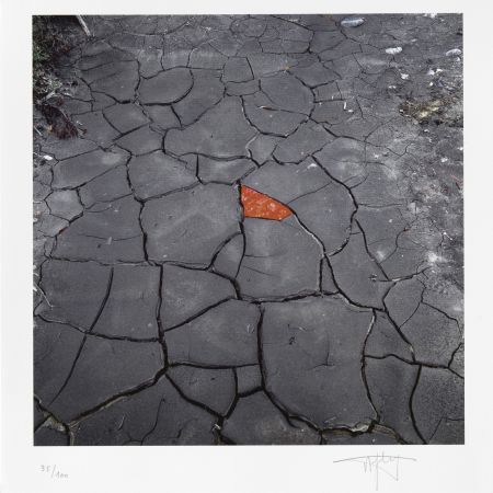 Estampe Numérique Goldsworthy - Red Leaves on Cracked earth