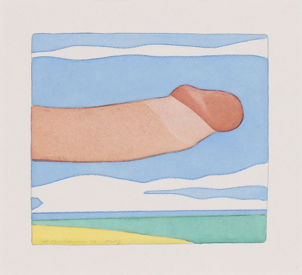 Aucune Technique Wesselmann - Seascape Penis