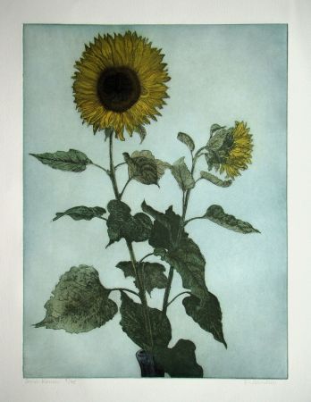 Gravure Michelsen - Sonnenblumen