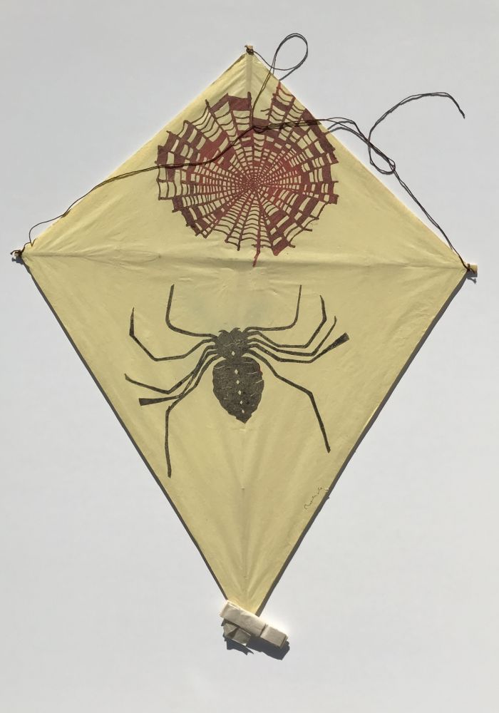 Aucune Technique Toledo - Spider and Web Kite