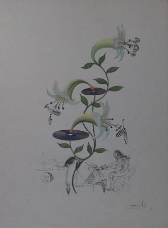 Gravure Dali - The Lily - Lilium Musicum