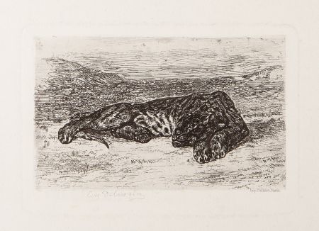 Gravure Delacroix - Tiger Sleeping in the Desert