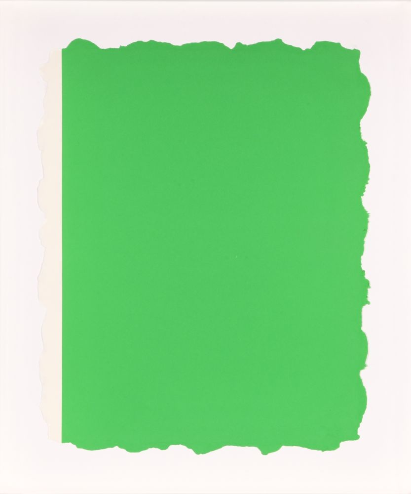 Aquatinte Flavin - Untitled, from Sequences - Green