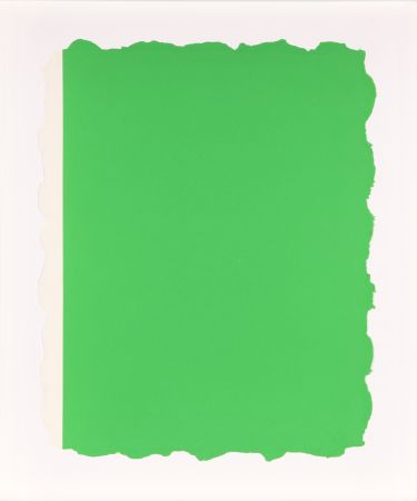 Aquatinte Flavin - Untitled, from Sequences - Green