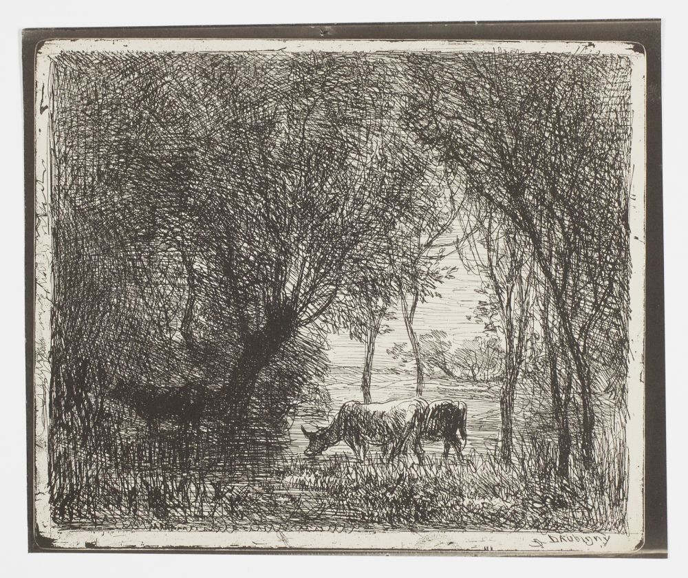 Aucune Technique Daubigny - Vaches sous Bois (Cows in the Woods, Cows under Trees)