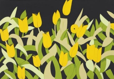 Multiple Katz - Yellow Tulips